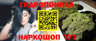 СК Обнинск