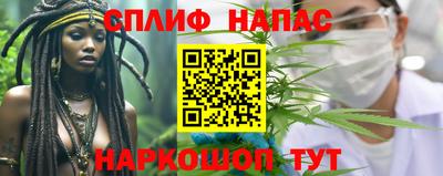 СК Обнинск