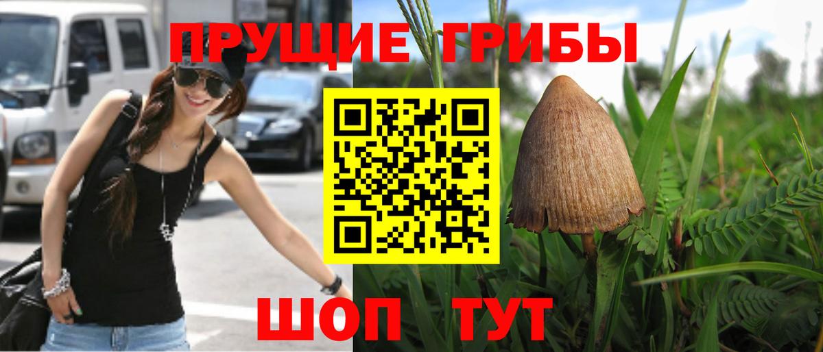 Псилоцибиновые грибы мухоморы  Галлюциногенные грибы мицелий  сколько стоит  Ростов-на-Дону  Вход с VPN 